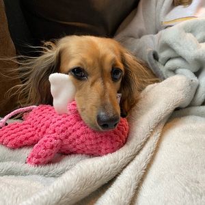 Meet your Posher, Marcus